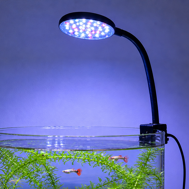 Aquarium Planted Tank - หินกรวดแม่น้ำเนื้อเรียบ 300-700 กรัม, หินตกแต่งสำหรับปูรองกระถางต้นไม้, ปูหน้าดินบอนไซ, ตกแต่งตู้ปลา,