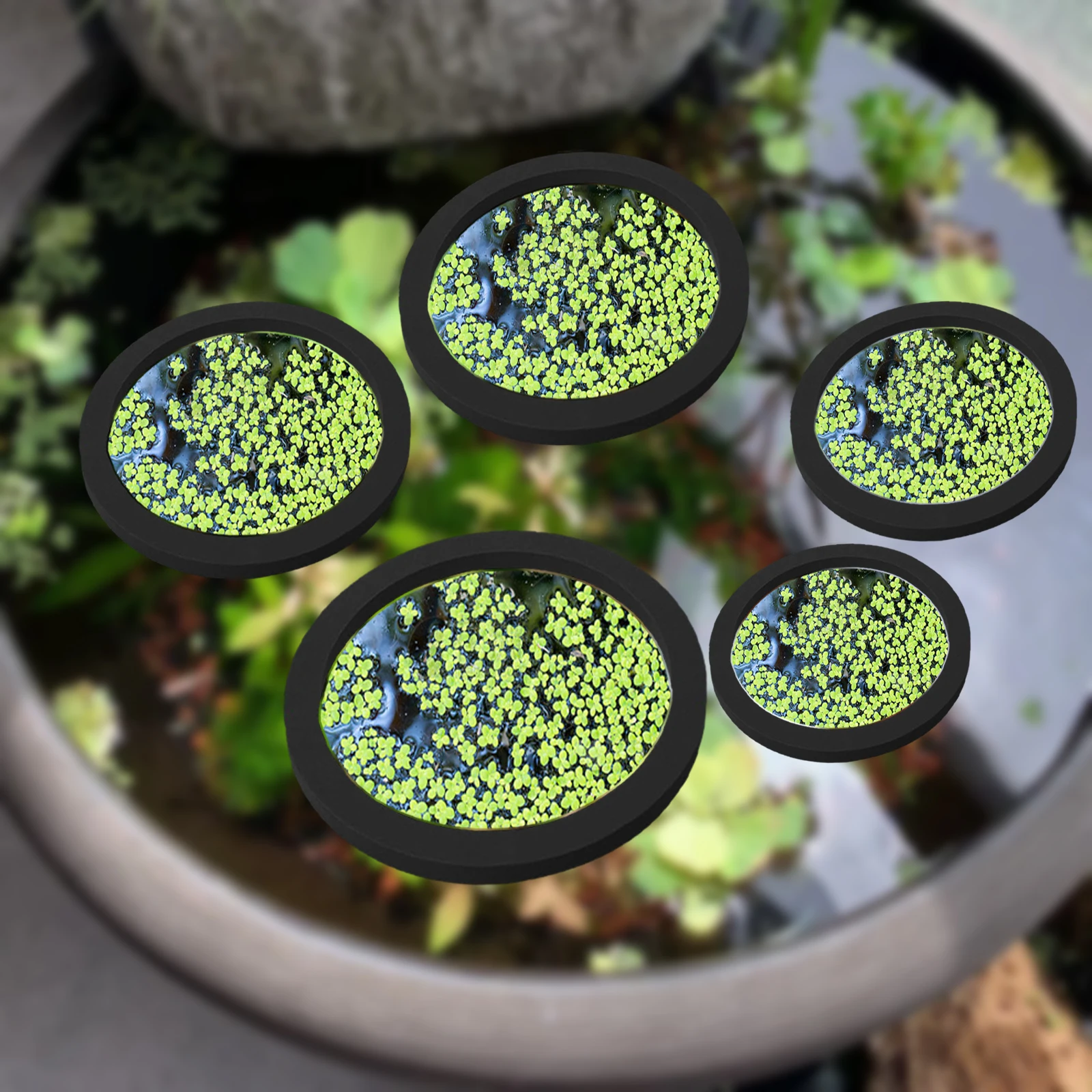 Aquarium Planted Tank - 5 ชิ้น EVA ปลา Feeding แหวน