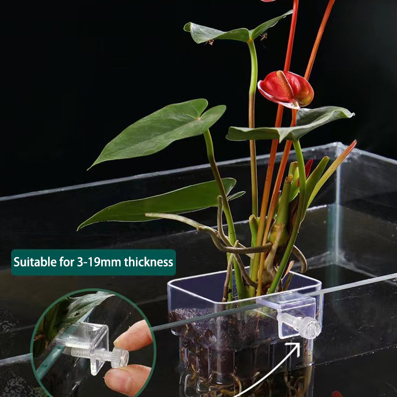 Aquarium Planted Tank - ถ้วยปลูกหญ้าน้ำพิพิธภัณฑ์สัตว์น้ำอเนกประสงค์สำหรับการเพาะพันธุ์กล่องแยกตู้ปลาถังปลาการปลูกพืชไฮโดรโปนิกส์