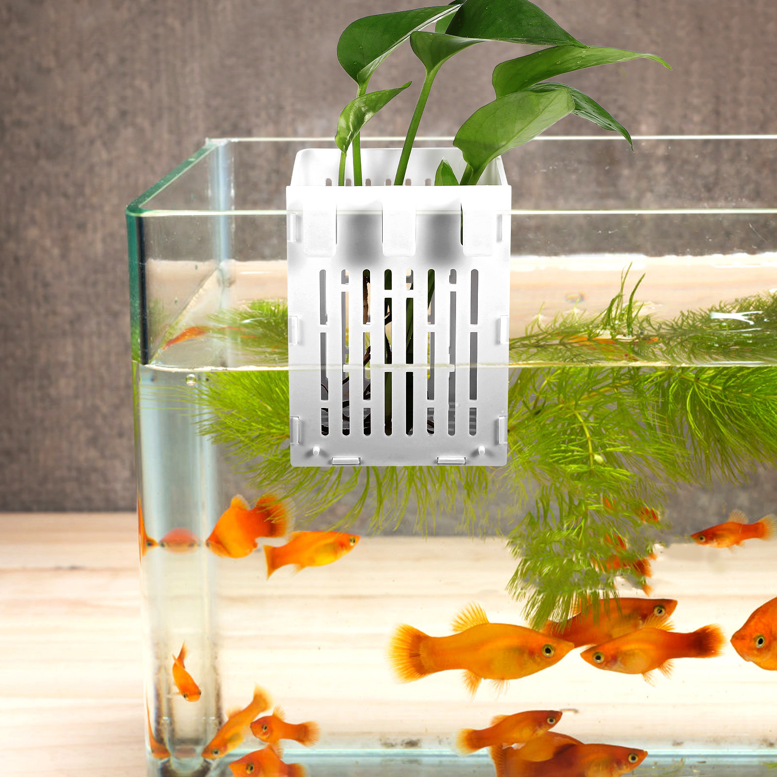 Aquarium Planted Set Up - ตะกร้าปลูกพืชน้ำแบบแขวน 2 ชิ้น ติดตั้งง่าย โครงสร้างแข็งแรง เพิ่มความสวยงามให้กับการตกแต่งตู้ปลา