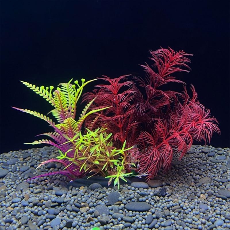 ต้นไม้ประดับตู้ปลา ของตกแต่งตู - Planted Aquarium For Sale บทวิจารณ์และราคา
