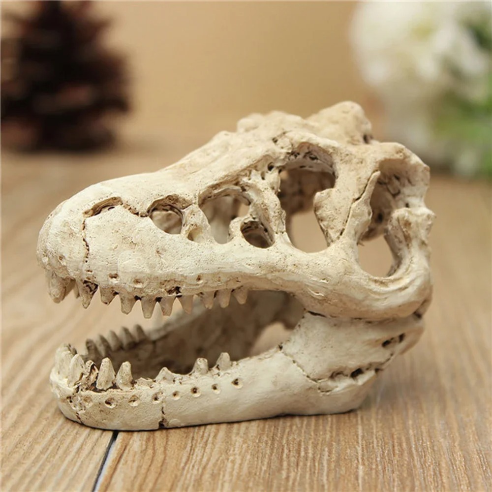 ฟอสซิลไดโนเสาร์รุ่น Fish Tank  - Aquarium Zombie บทวิจารณ์และราคา