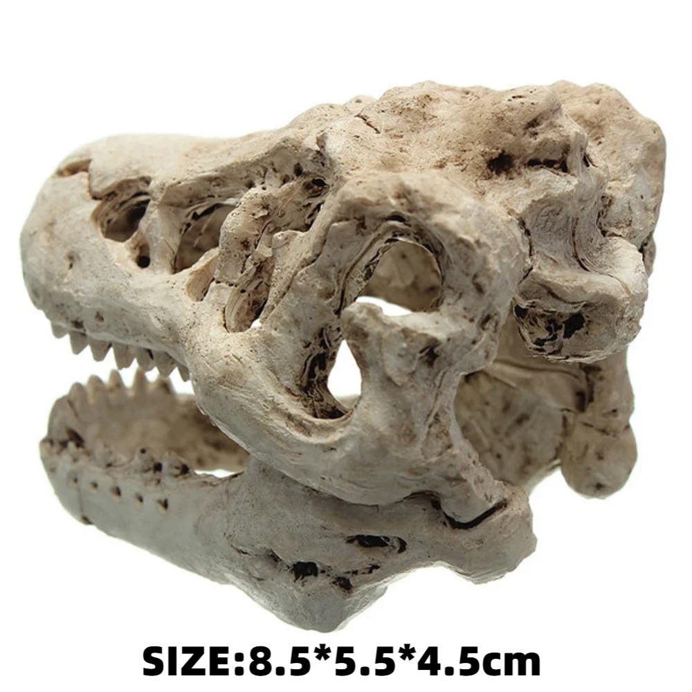 ฟอสซิลไดโนเสาร์รุ่น Fish Tank  - Aquarium Zombie บทวิจารณ์และราคา