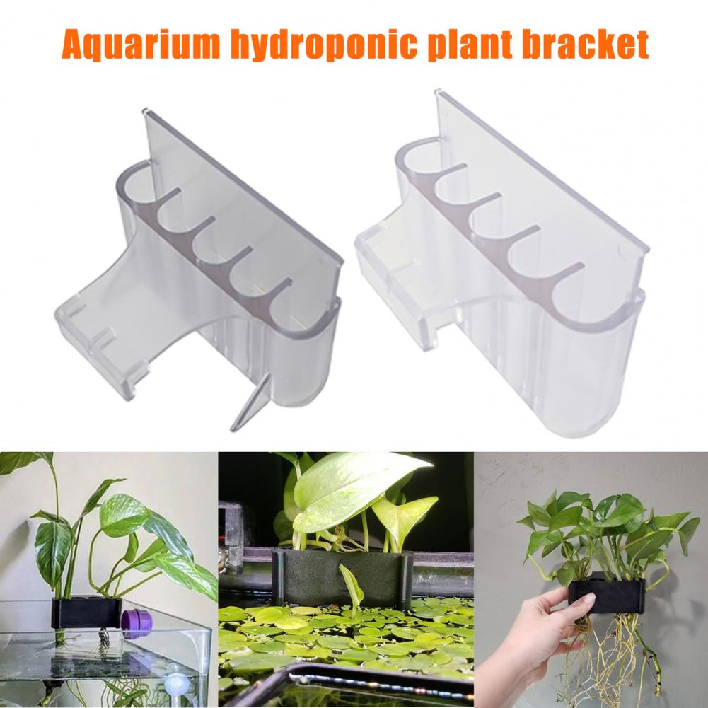 4.5/6.5 ซม.Aquarium Holder ถัง - Aquarium Plant In Pot บทวิจารณ์และราคา