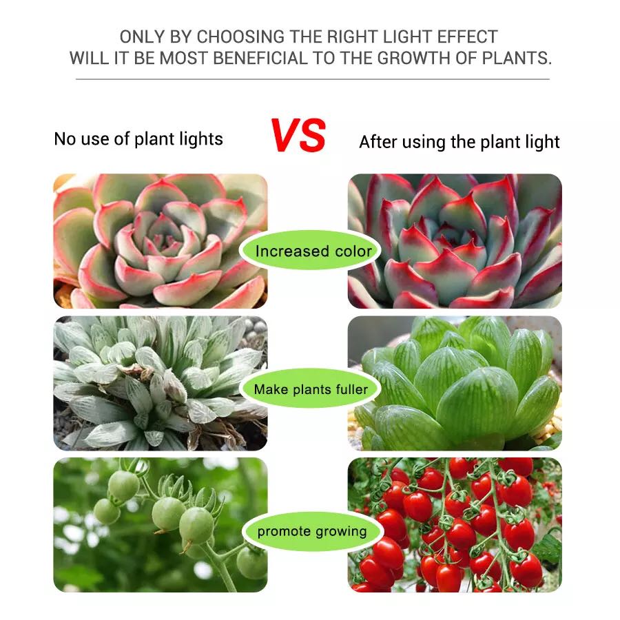 LED5V Light Bar ดอกไม้ Aquariu - Planted Aquarium Hours บทวิจารณ์และราคา