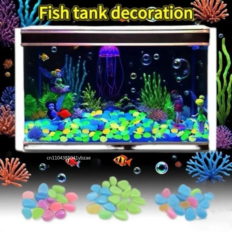 หินเรืองแสงในที่มืด 100-800 ชิ - Aquarium Plant In Pot บทวิจารณ์และราคา