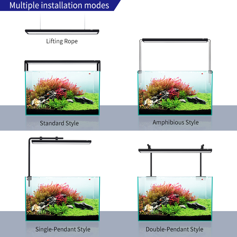 ไฟ LED สำหรับตู้ปลา ZXY Hot Sa - Planted Aquarium For Sale บทวิจารณ์และราคา