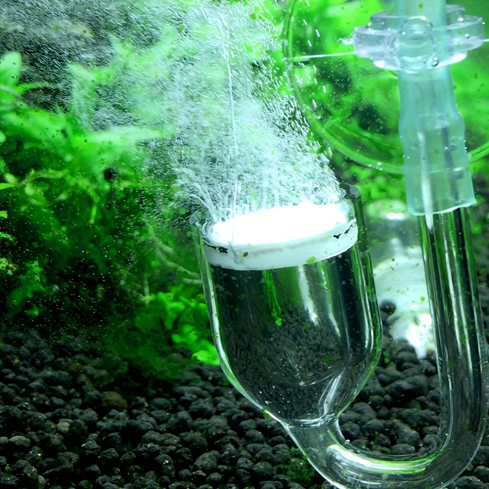 Aquarium Glass CO2 Atomizer Di - Aquarium Plant In Pot บทวิจารณ์และราคา
