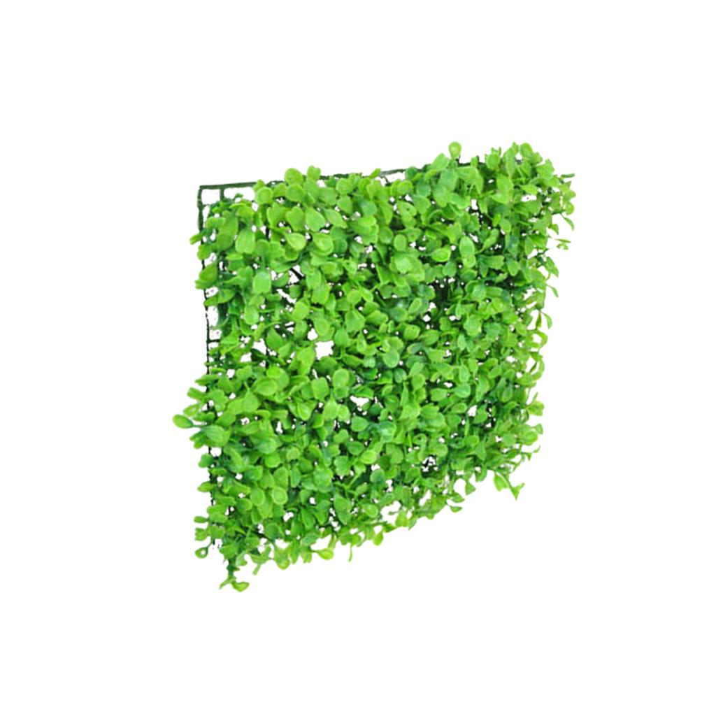 หญ้าเทียมพลาสติกเรซินสังเคราะห - Aquarium Planted Set Up บทวิจารณ์และราคา