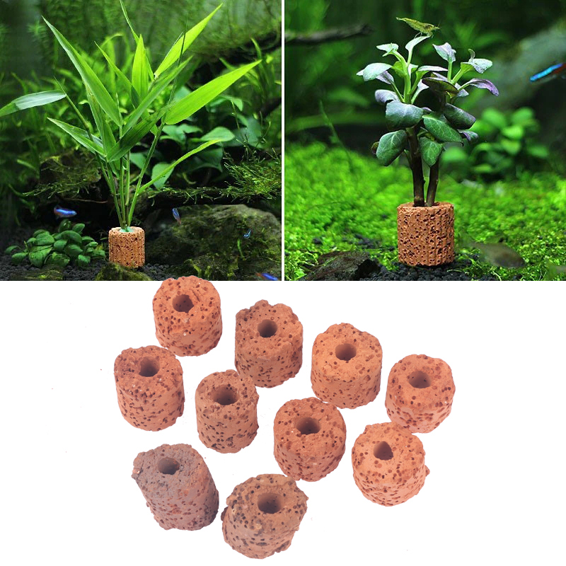 วงแหวนตกแต่งต้นไม้น้ำขนาดเล็ก  - Aquarium Planted Set Up บทวิจารณ์และราคา