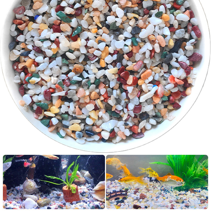 หินกรวดธรรมชาติ 200~1000 กรัม  - Planted Aquarium With Gravel บทวิจารณ์และราคา