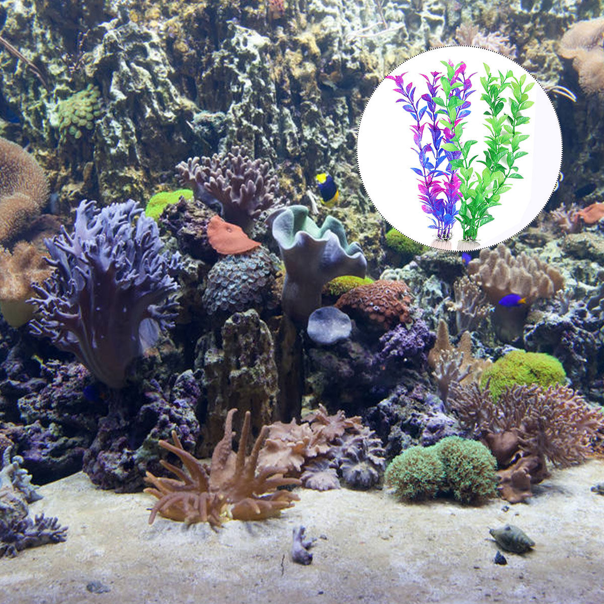 ชุดต้นไม้น้ำปลอม 10 ชิ้น สำหรั - Planted Aquarium Maintenance บทวิจารณ์และราคา