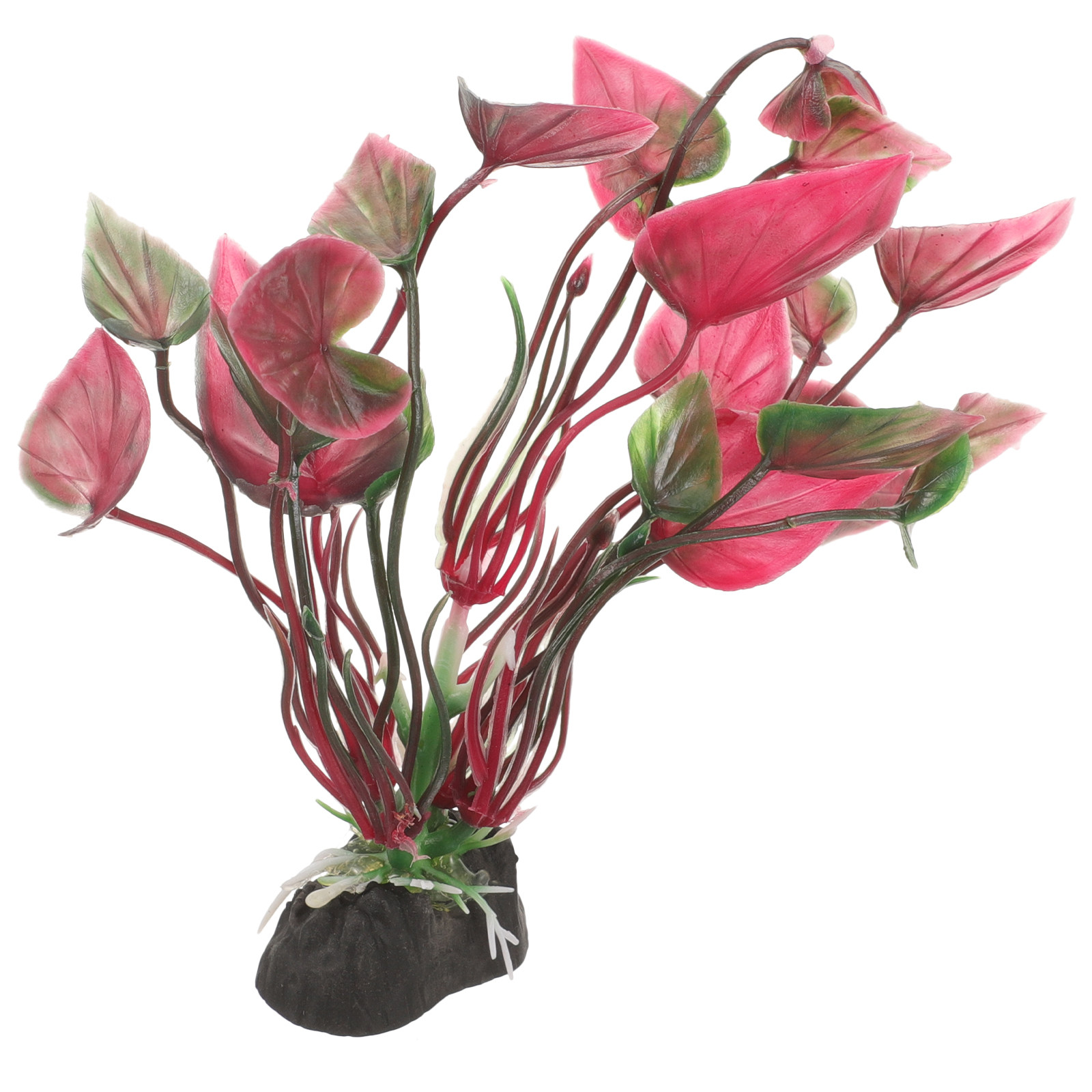 ต้นไม้พลาสติกตกแต่งตู้ปลาเสมือ - Aquarium Planted Set Up บทวิจารณ์และราคา