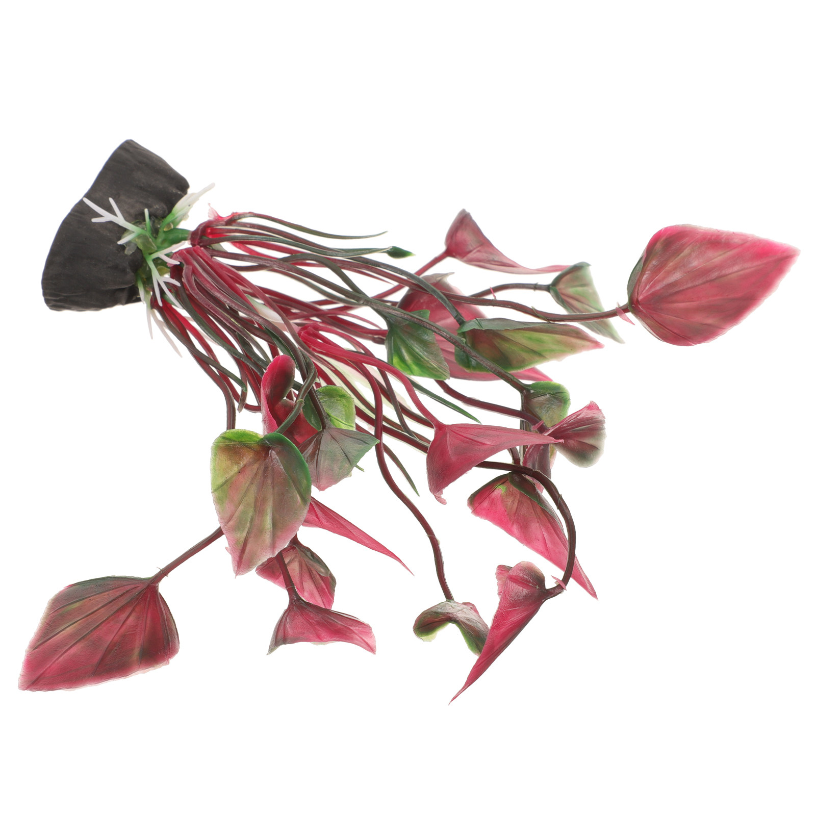 ต้นไม้พลาสติกตกแต่งตู้ปลาเสมือ - Aquarium Planted Set Up บทวิจารณ์และราคา