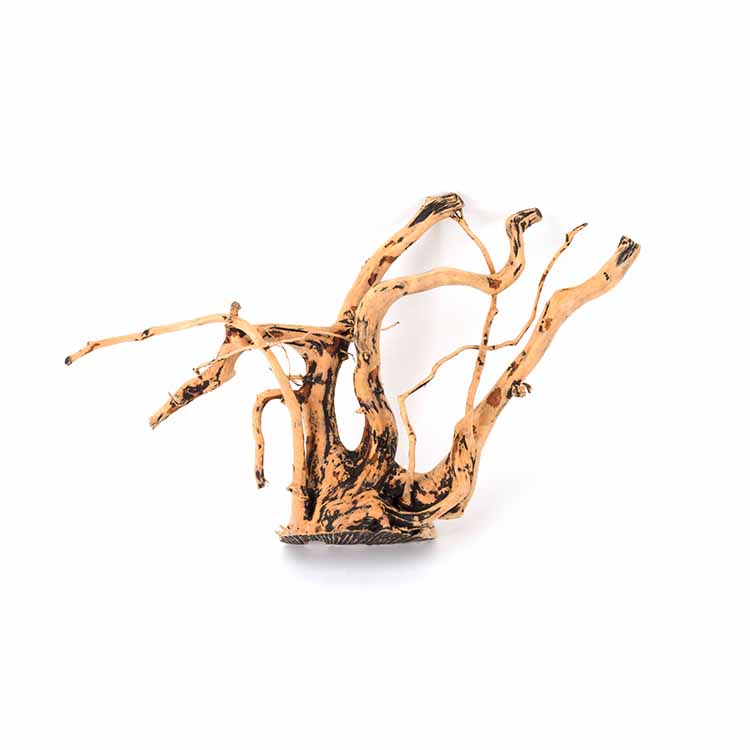 ขายส่งไม้ลอยน้ำตกแต่งตู้ปลาธรร - Planted Aquarium For Sale บทวิจารณ์และราคา