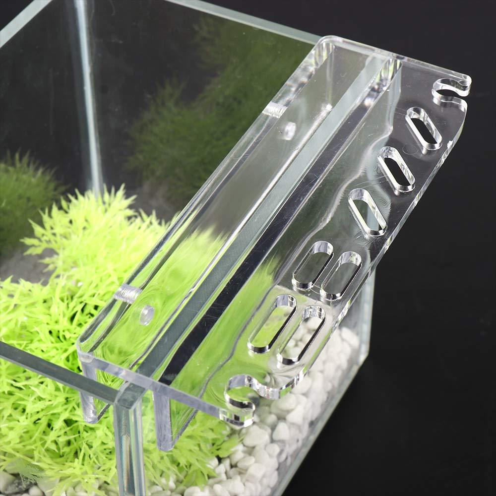 อุปกรณ์ทำความสะอาด ชั้นวางอุปก - Planted Aquarium Maintenance บทวิจารณ์และราคา