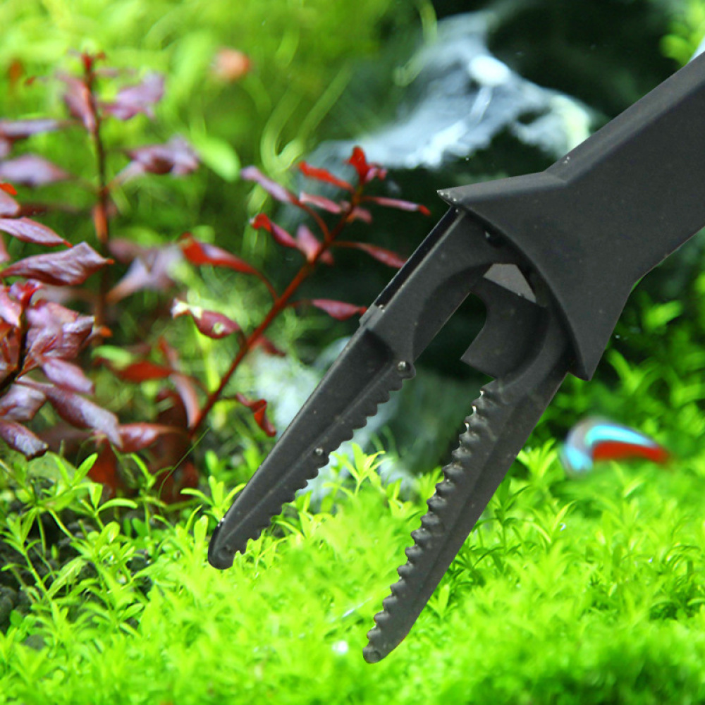 แหนบสำหรับปลูกพืชน้ำในตู้ปลา ค - Planted Aquarium Maintenance บทวิจารณ์และราคา