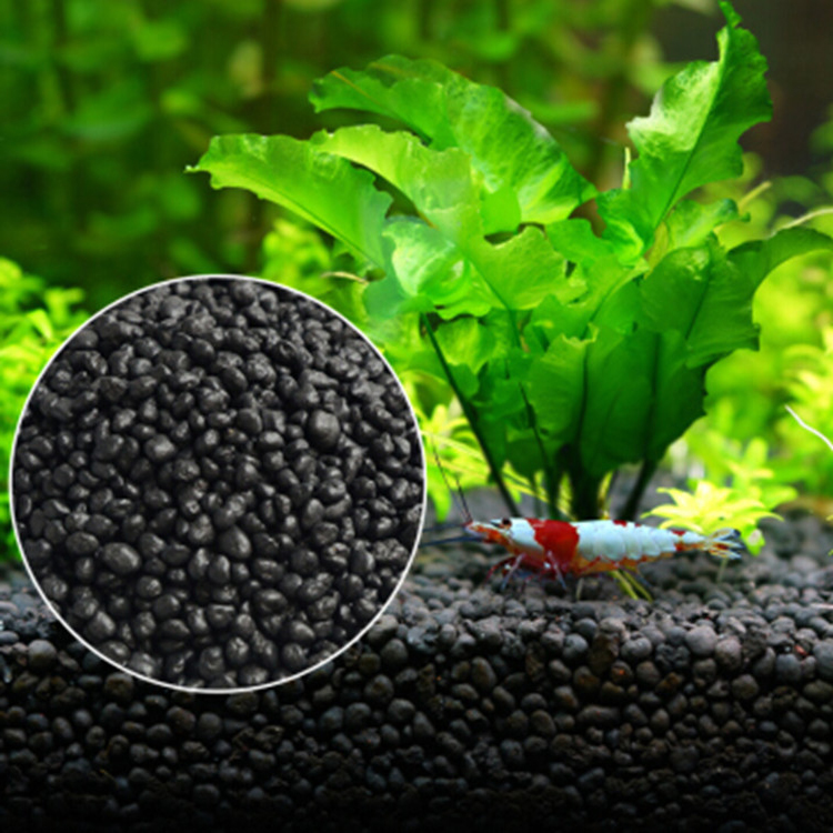 พิพิธภัณฑ์สัตว์น้ำเมล็ดพืชดิน  - Aquarium Planted Tank บทวิจารณ์และราคา