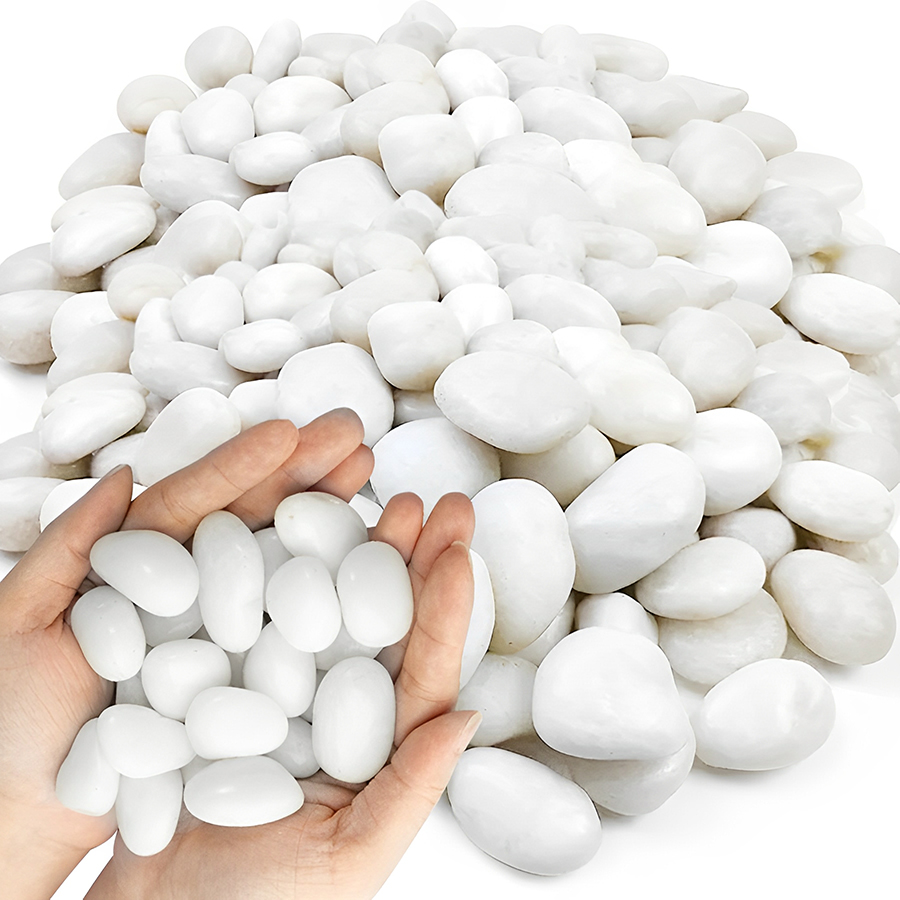 กรวดตกแต่งตู้ปลาสีขาวขัดเงา ขน - Planted Aquarium With Gravel บทวิจารณ์และราคา