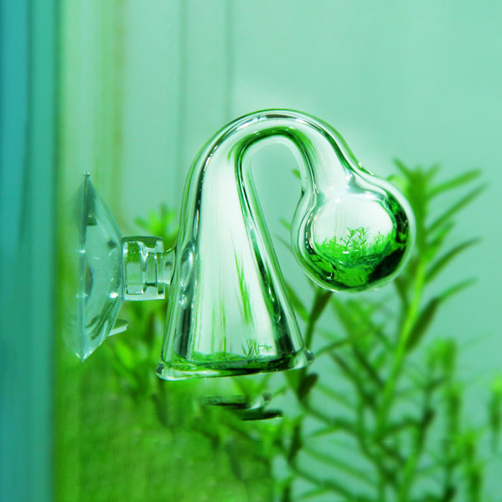 CO2สำหรับตู้ปลาที่ตรวจสอบการตก - Aquarium Plant In Pot บทวิจารณ์และราคา