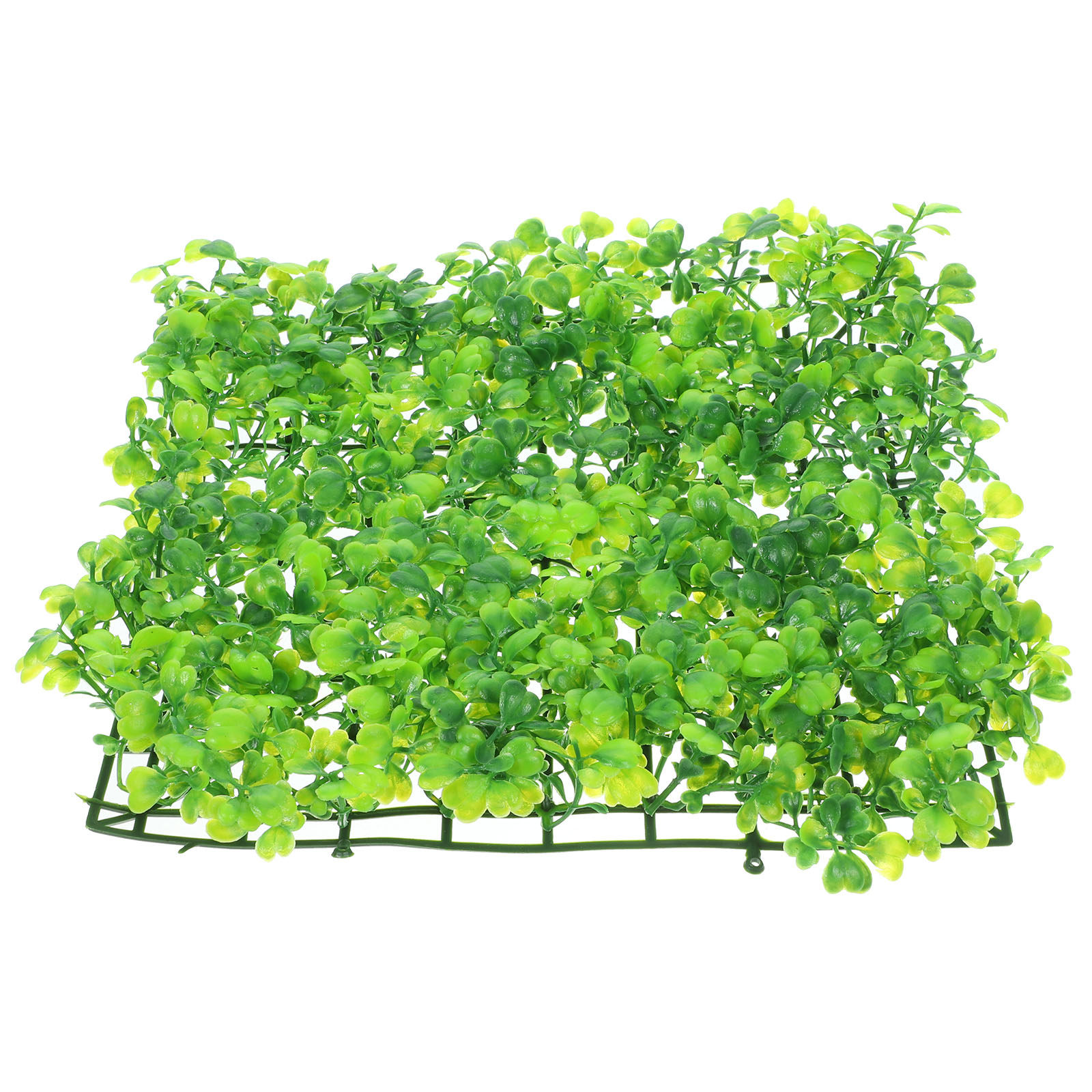 หญ้าปลอมสำหรับตู้ปลา ต้นไม้พลา - Aquarium Planted Tank บทวิจารณ์และราคา