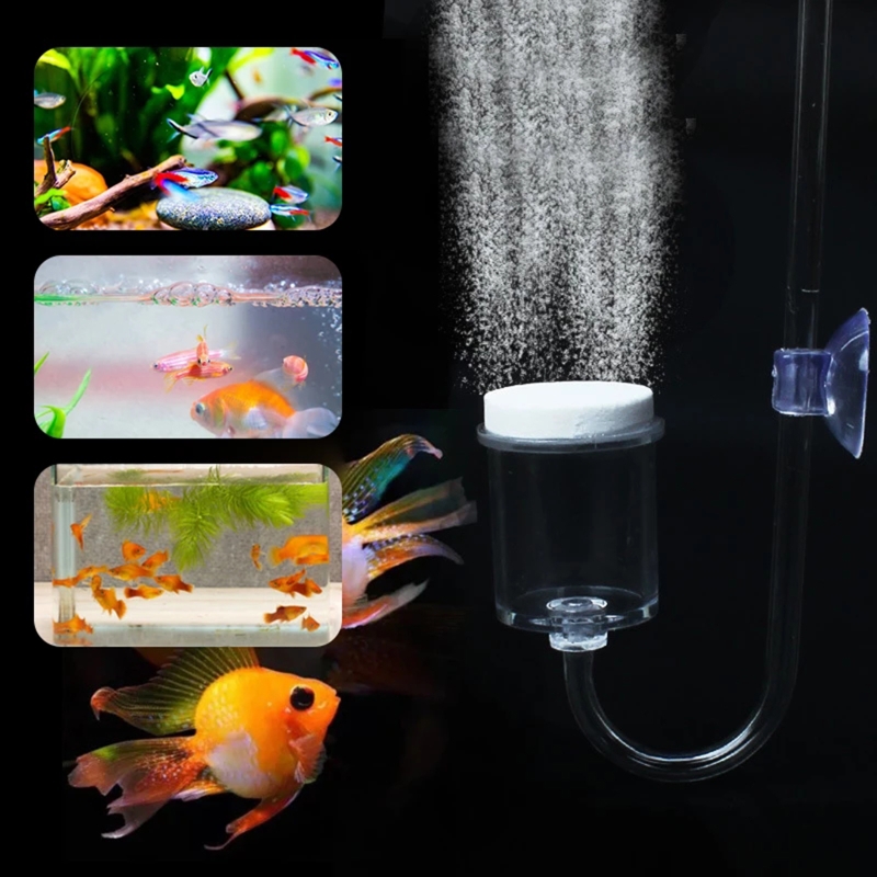 DIY ชุดกระจาย CO2 4ชิ้นสำหรับต - Aquarium Plant In Pot บทวิจารณ์และราคา