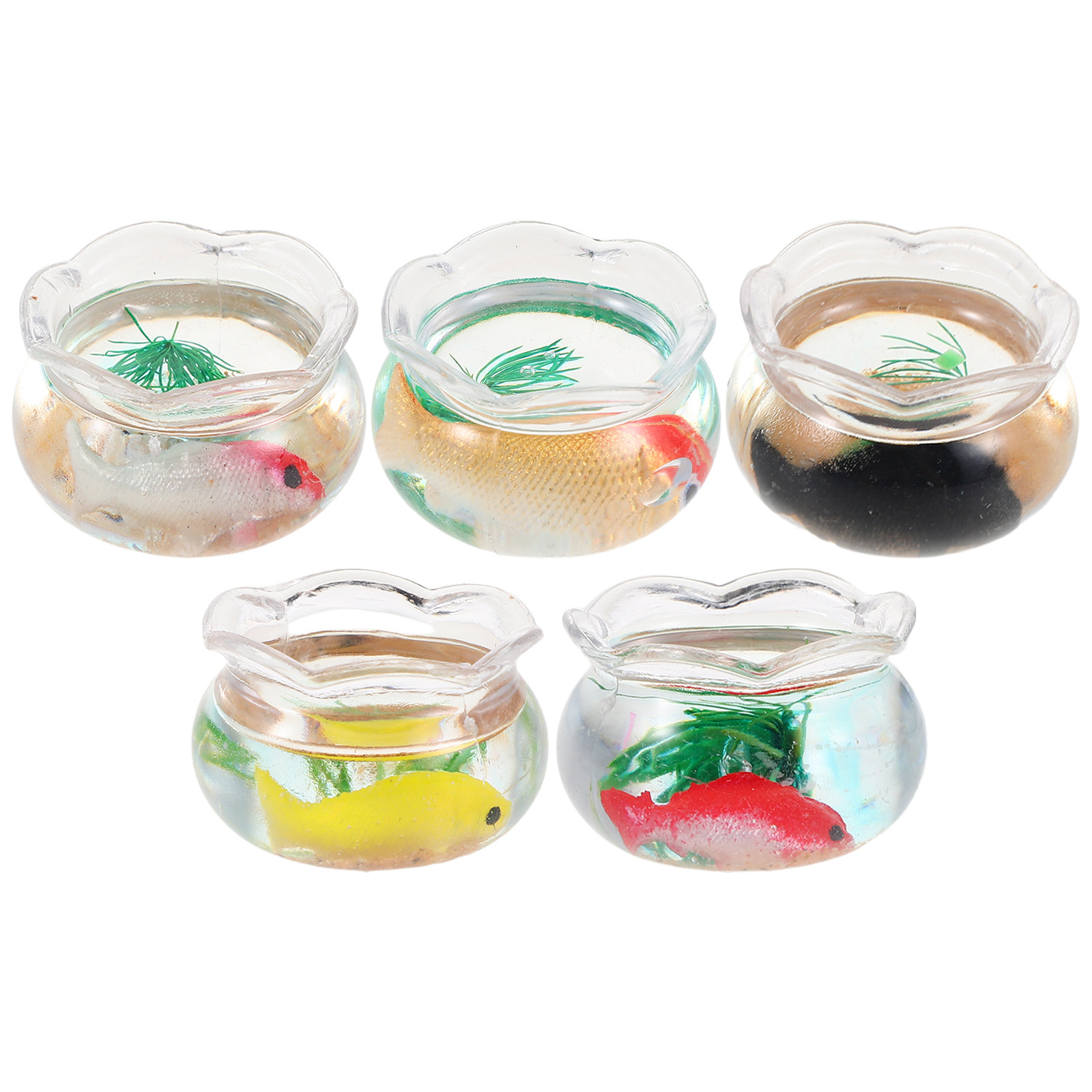 ตู้ปลาขนาดเล็ก 5 ชิ้น ทรงกลม ส - Aquarium Planted Tank บทวิจารณ์และราคา